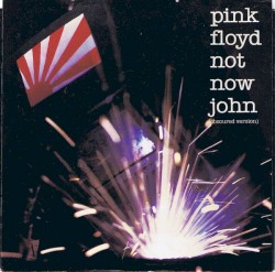 The Hero's Return - Pink Floyd