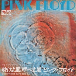 Seamus - Pink Floyd