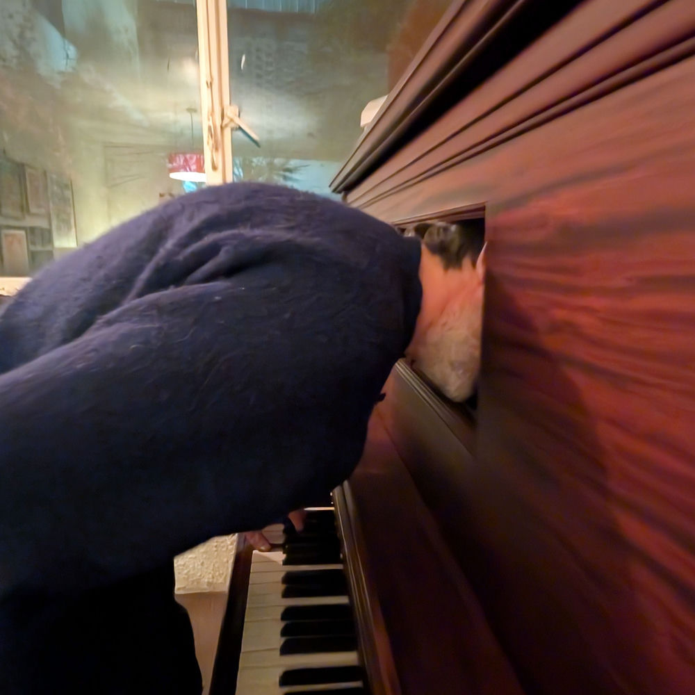 Melancolie - Patrick Watson