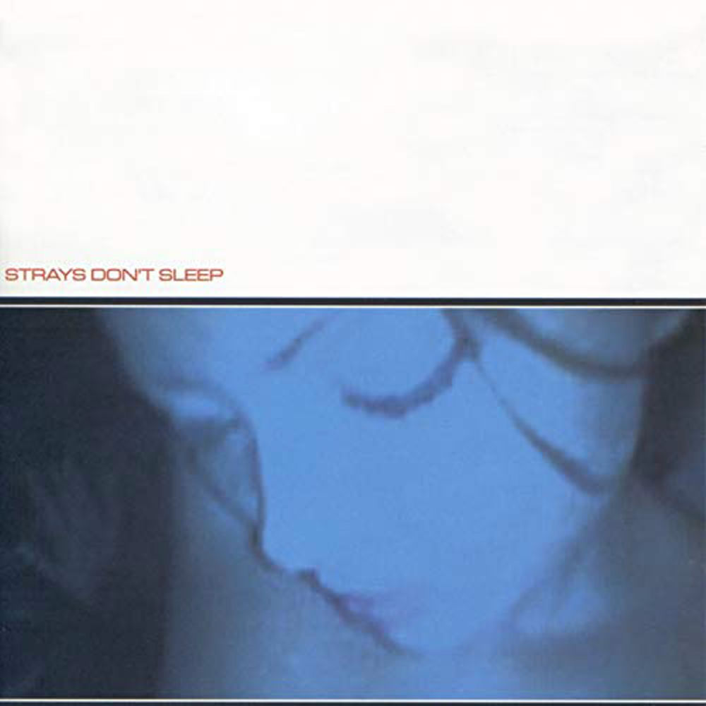 For Blue Skies - Stray's Don't Sleep